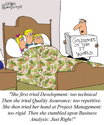 Humor - Cartoon: Goldilocks of the IT World